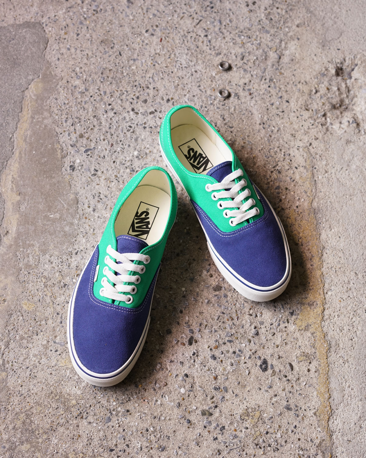 PRIMARY NAVY（正面）