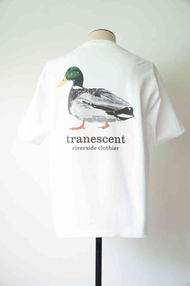 souvenir TEE shirts "SHIBUKAWA" [tranescent] back