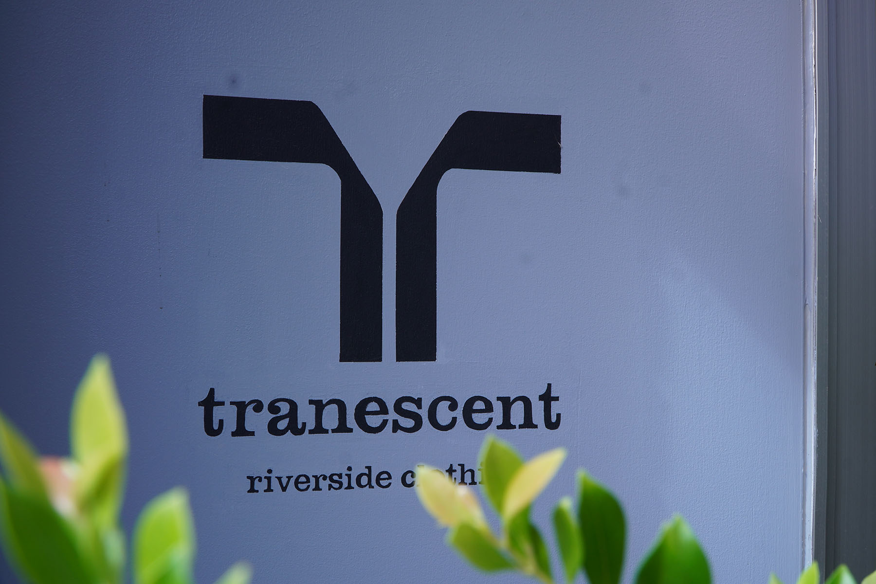 The reason I selected this place [tranescent] logo