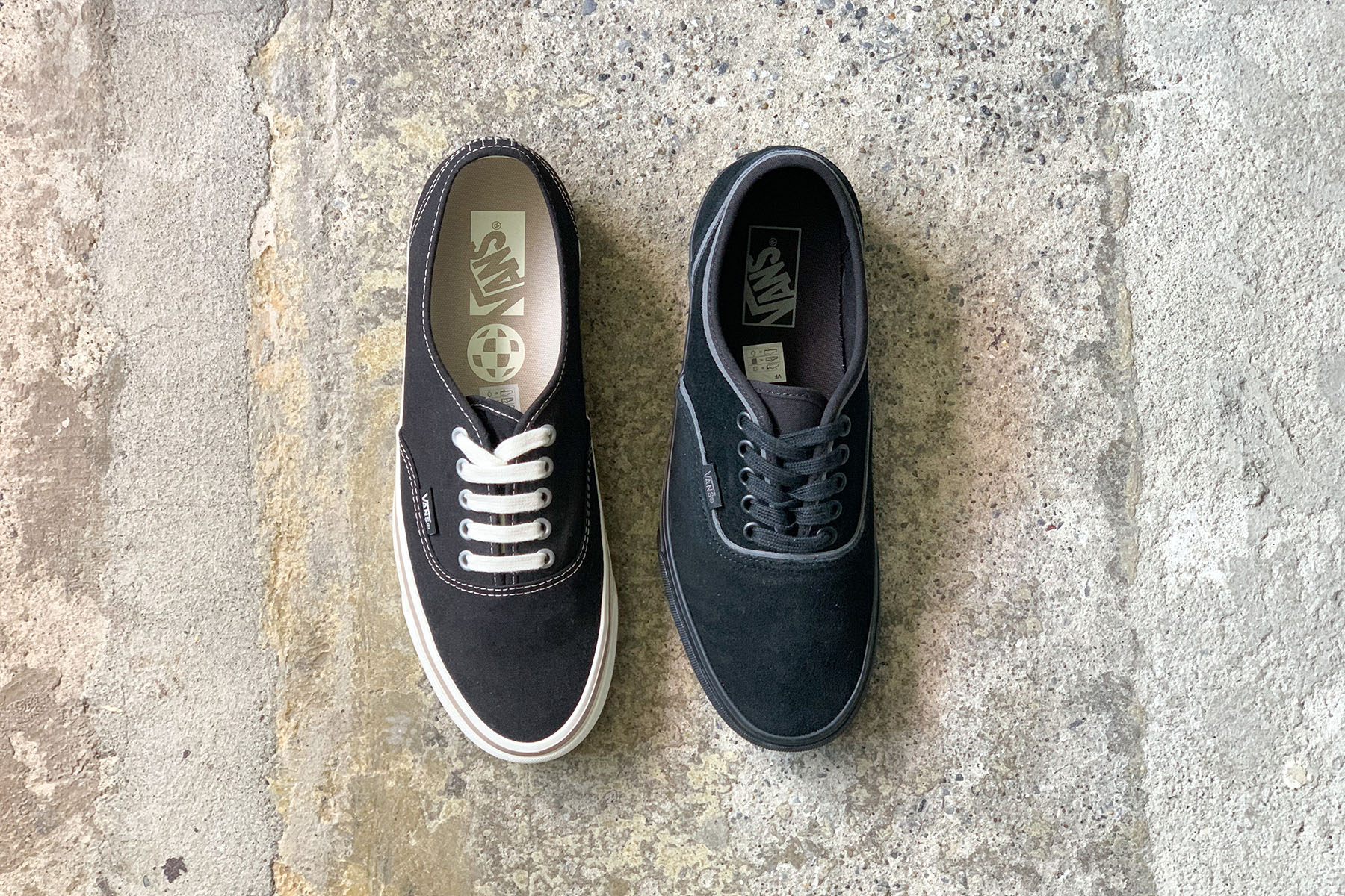 Which one do you like ? [VANS authentic] vertical angle