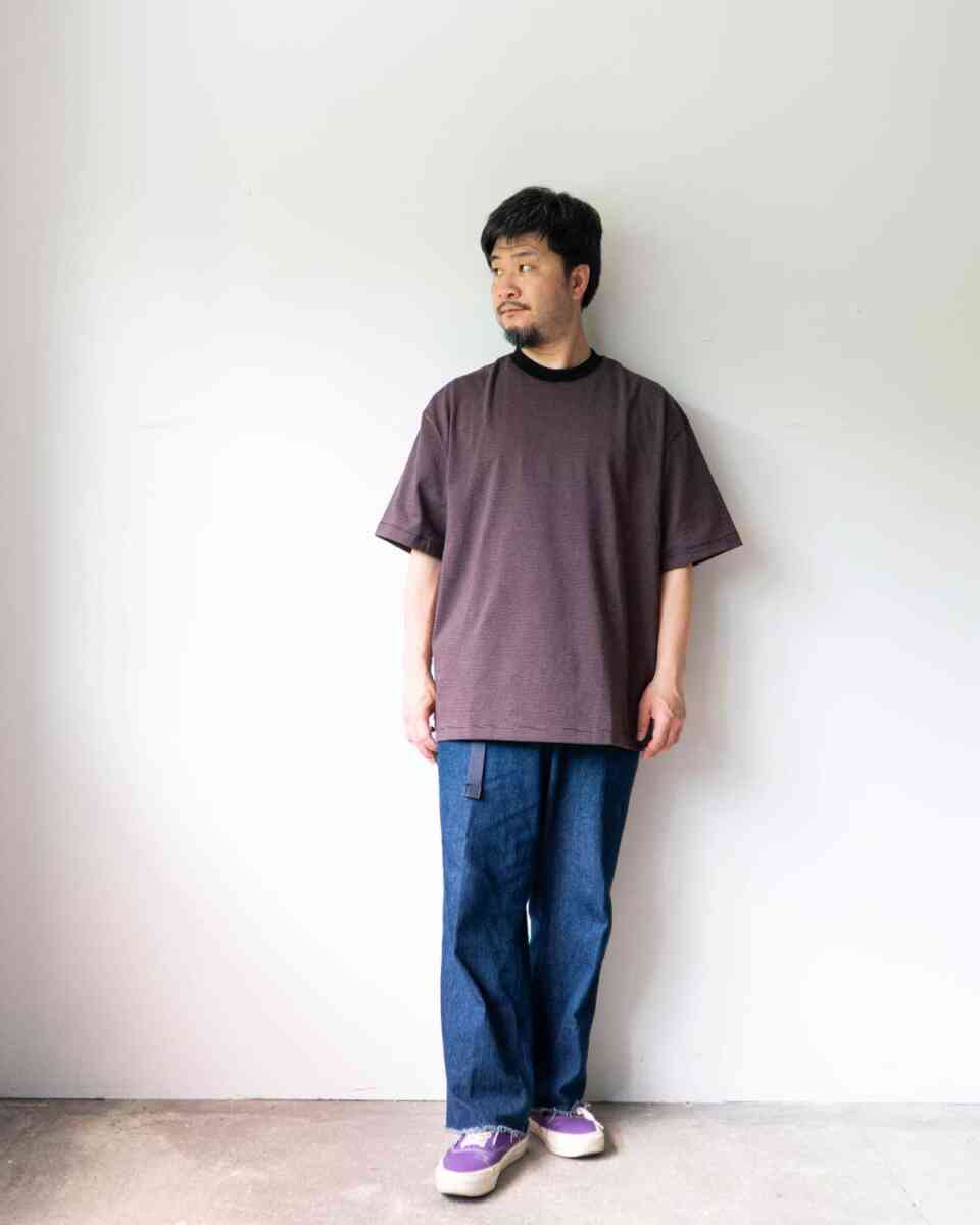 Narrow border SS T-shirts [alvana] 165cm wearing image earth