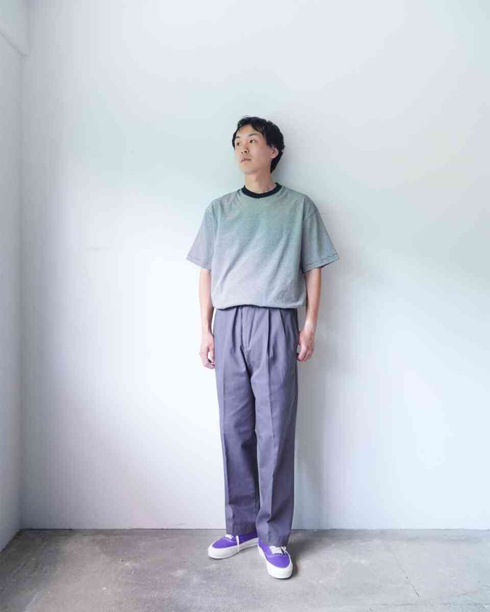 Narrow border SS T-shirts [alvana] 181cm wearing image grey