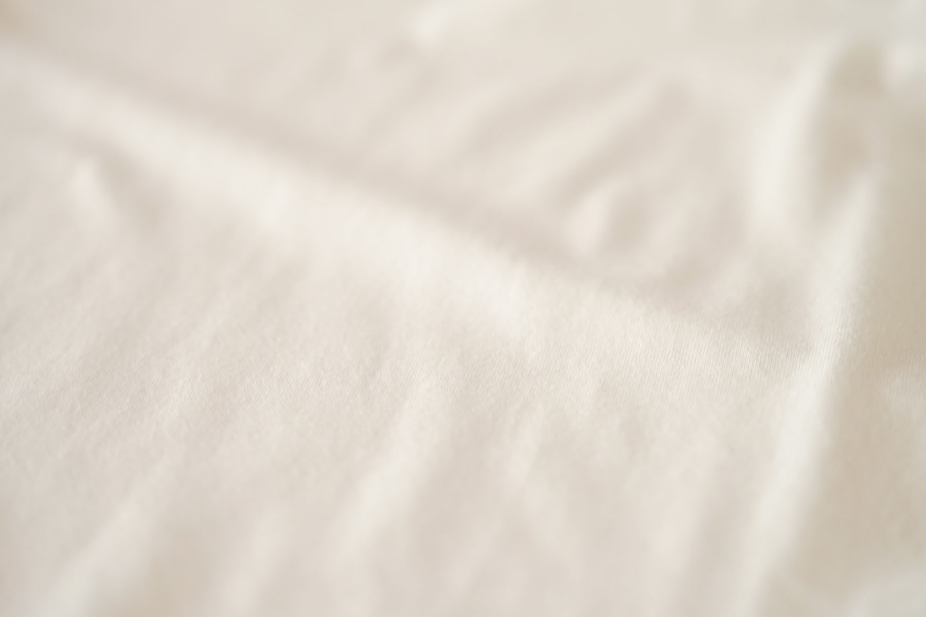 organic cotton big T-shirts [PARAGES] テキスタイル