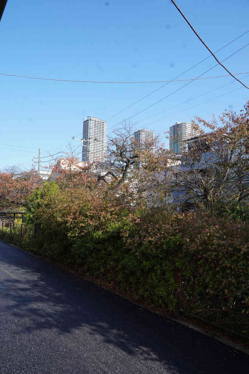 2nd anniversary [tranescent]店舗からのタワマン風景