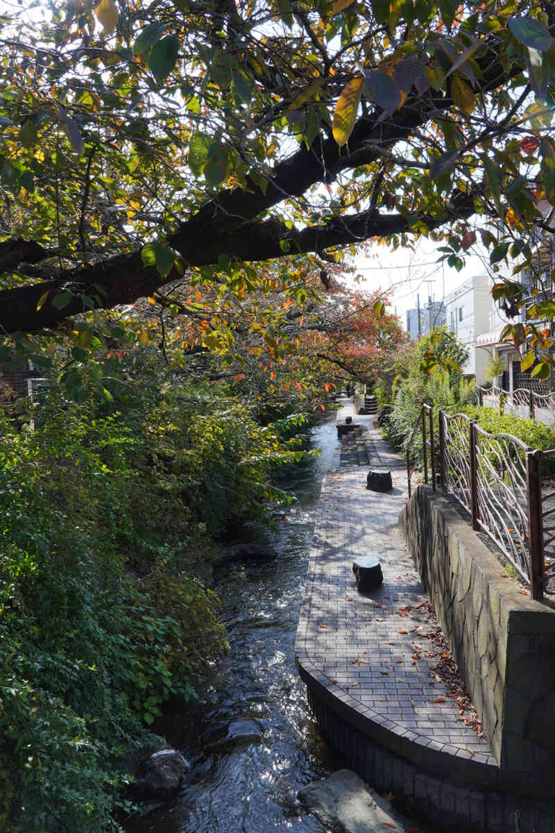 2nd anniversary [tranescent]渋川の様子